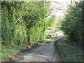 Free range on Low Gate Lane