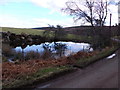 Small pond near Birsebeg