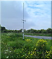 Roadside weather monitoring station in Northwick