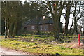 Cottage in the trees