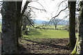 Farmland at Kirkland, St John