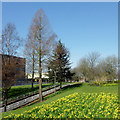 Public park in Wolverhampton Ring Road