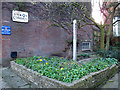 St Albans Peace Garden