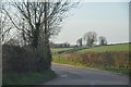 East Devon : Country Lane