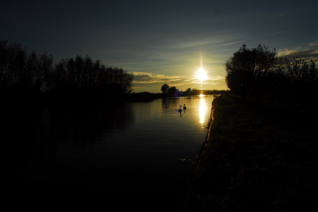 Swans at sunset on the Gloucester & Sharpness canal