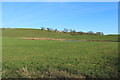 Farmland near Parton Mill Bridge