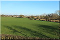 Farmland at Blackpark