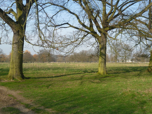 View from the London LOOP in Bushy Park