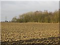NT0970 : Ploughed field off Newhouses Road by Richard Webb