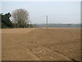 Field north of Ringland Lane