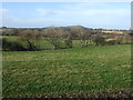 Farmland off Saltburn Road