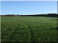 Farmland, New Brotton