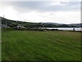 Grass area, Waterfoot Beach