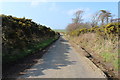 Road to Kirminnoch near Loch Connell