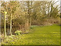 Footpath to Naunton Beauchamp