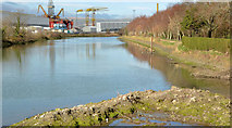 J3675 : The Connswater, Belfast (March 2014) by Albert Bridge