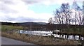 Pond at Mill of Strachan