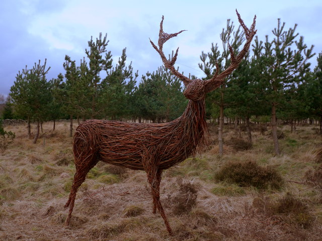 Deer Sculpture in Gordon Community Woodland