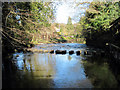 Stepping  Stones,  River  Esk,  Egton  Bridge.