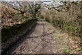 Part of the Avon Estuary Walk