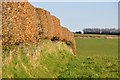 West Somerset : Grassy Field