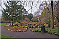 SX8960 : Pond in Victoria Park by Richard Dorrell