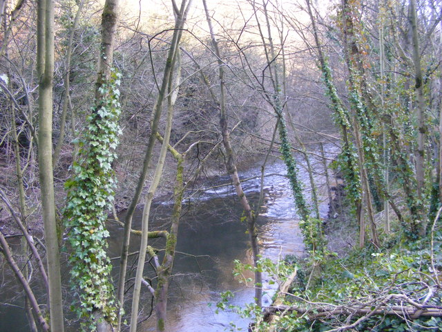 River  Derwent View