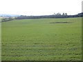 Arable land, Glendouglas