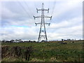 Pylon at Ballymacward Lower