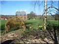 Oast houses at Postern Park