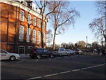 TQ2777 : Royal Hospital Road looking towards Chelsea Embankment by David Howard