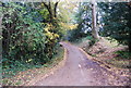 Narrow lane to Tanyard Cottage