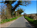 Bighton Road looking east from Stonyland Copse