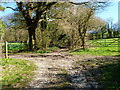 Restricted byways cross west of Gullet Wood