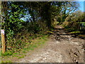 Rookwood Lane looking north from Gullet Lane