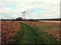 Llwybr Pengelli / Grovesend Path