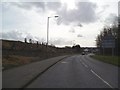 Coseley Road Pruning