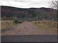 Track to Abriachan woodland walks