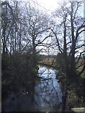 SK6285 : The River Ryton from Hodsock Red Bridge by JThomas