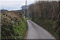 West Somerset : Country Lane