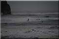 NZ8613 : Surfers at Sandsend by John Winder
