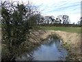 River Poulter, Near Cuckney