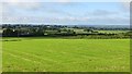 D1015 : Grassland, Glenleslie by Richard Webb