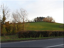 H6519 : Site of historic Ring Fort, Corkeeran by Anthony Foster