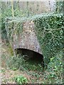 Paignton Zoo - disused lime kiln