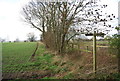 Bridleway sign and hedge near Pipp