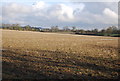 Ploughed field