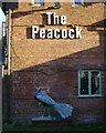 SP0575 : Pub name and detached peacock sign, Forhill by Robin Stott