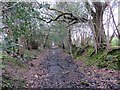 Llwybr Heol y Waun / Waun Road footpath