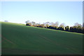 Farmland near Pouchen End